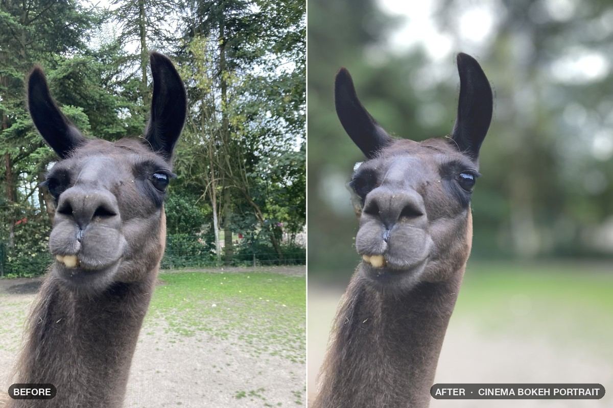 Photo before and after the Cinema Bokeh Portrait patch