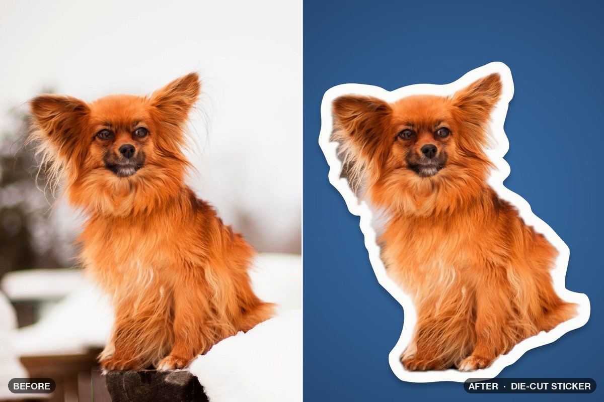 Photo before and after the Die-Cut Sticker patch