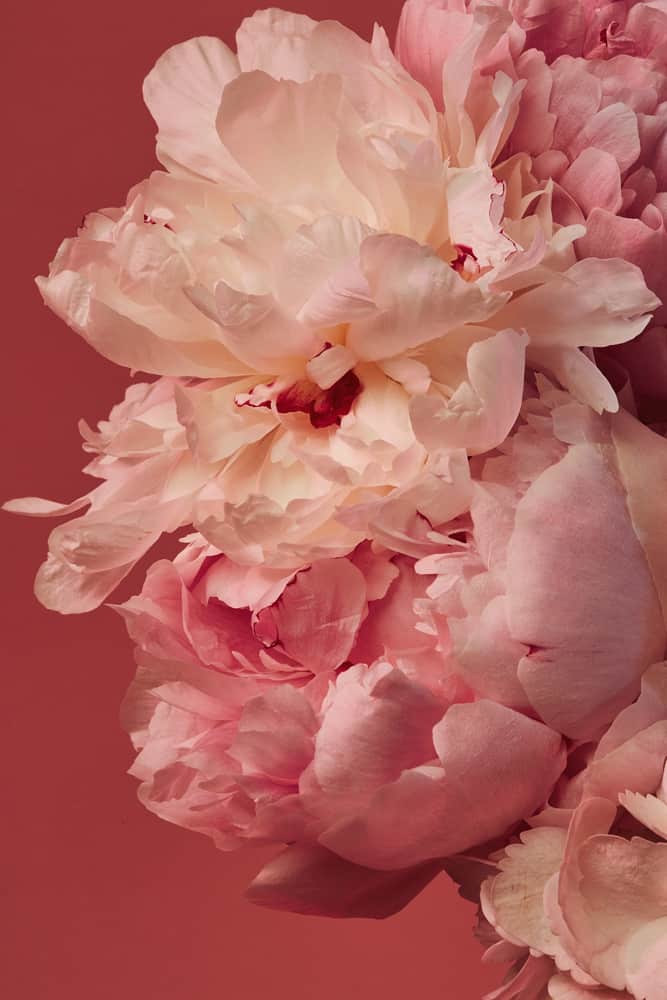 Photo from the article “Color Conversations with Photographer Jai Mayhew”