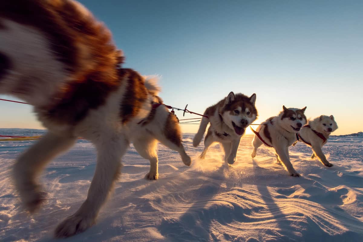 Photo from the article “Creative Conversations with Landscape Photographer Curtis Jones”